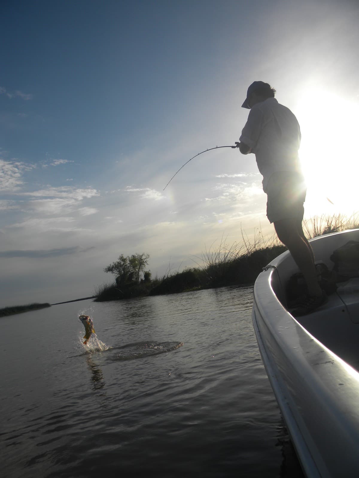 Jigging