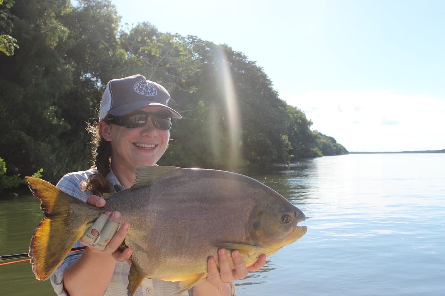Pacú
