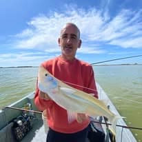 Buba pesca