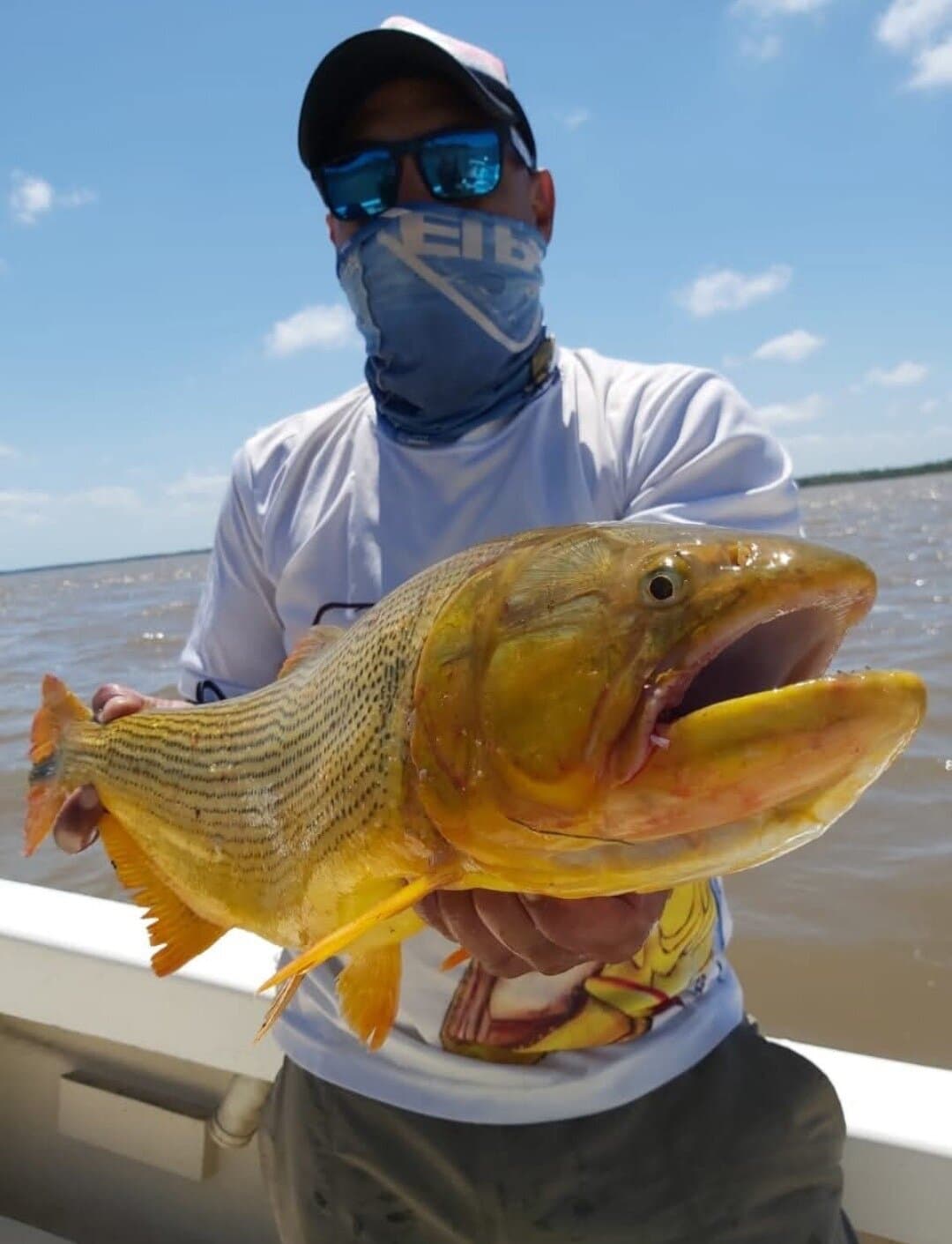 Ricardo Pesca