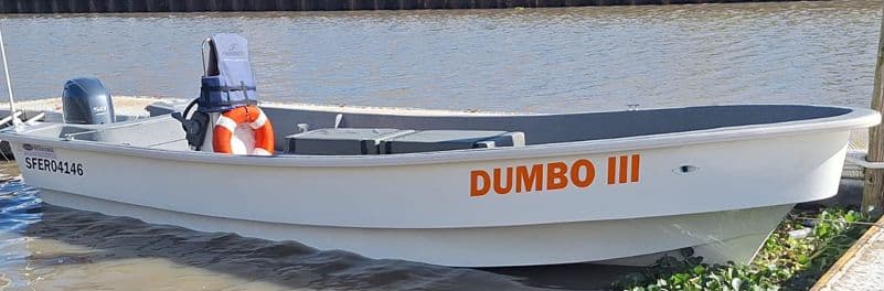 Dumbo I