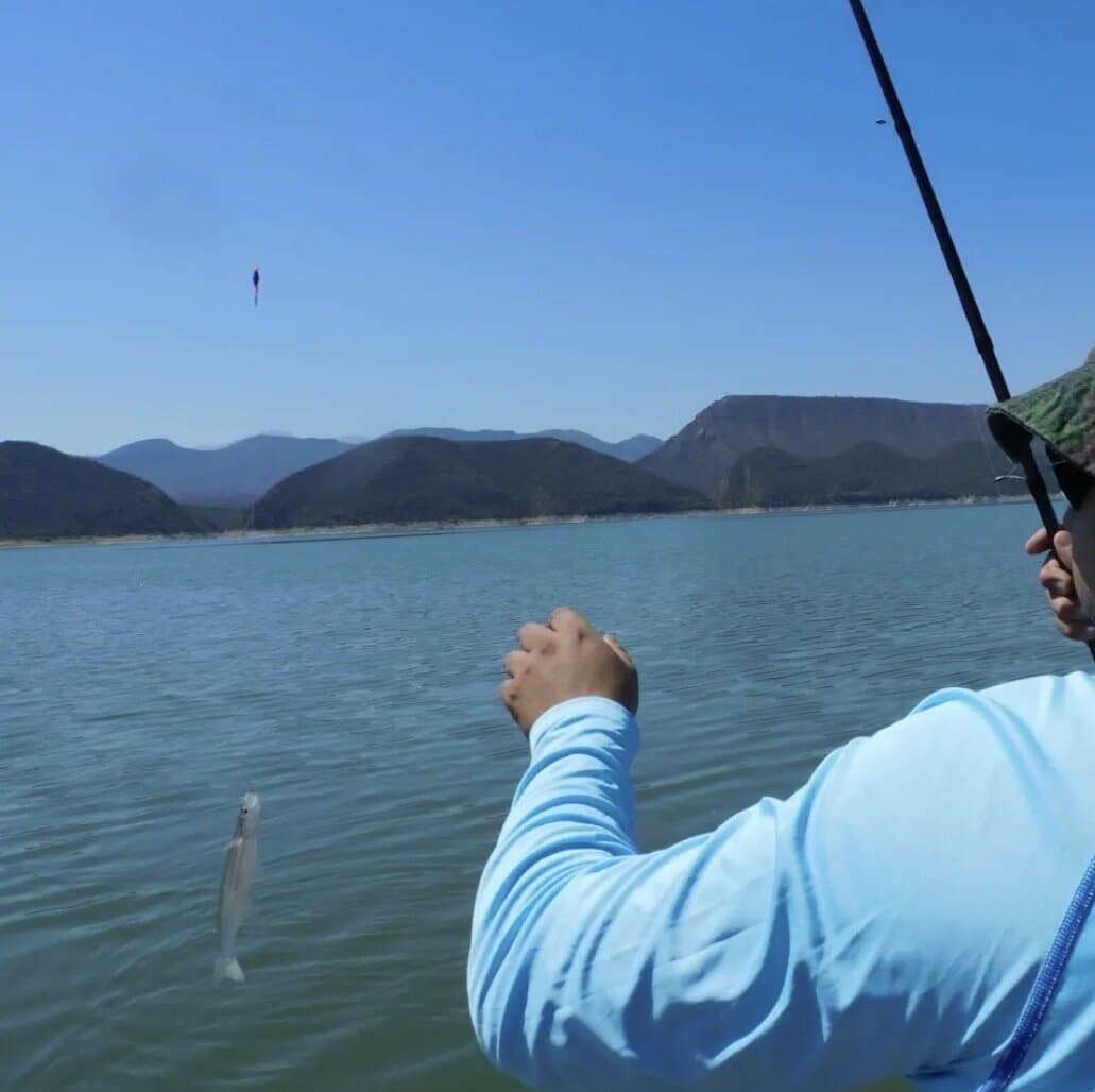 Ariel Eduardo Pesca