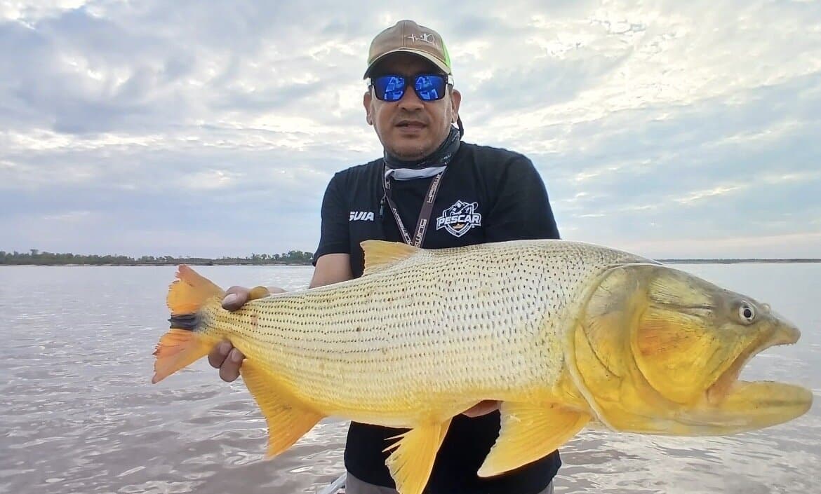 Andres Pesca